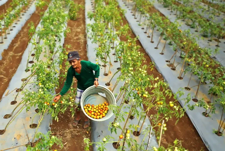 Beyond the Band-Aid: Turning Your Donation into Sustainable Change