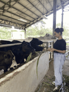 Scholarships: Meet Roma