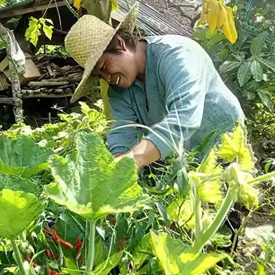 Green microfinance: Meet Norma L. Bautista